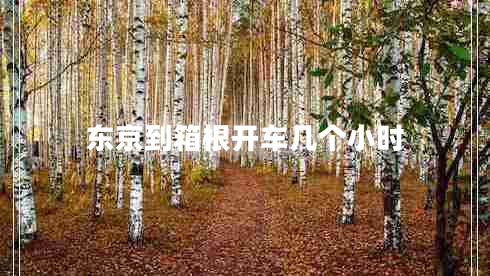 東京到箱根開(kāi)車幾個(gè)小時(shí)