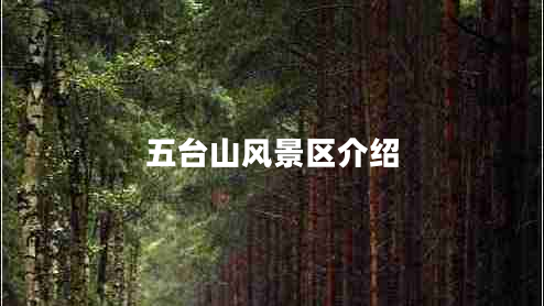 五臺(tái)山風(fēng)景區(qū)介紹