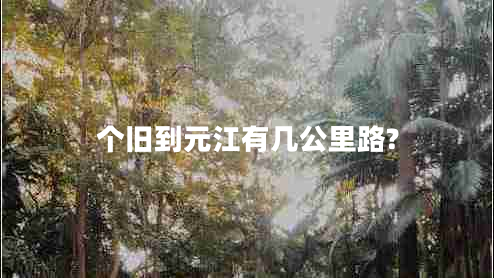 個舊到元江有幾公里路?