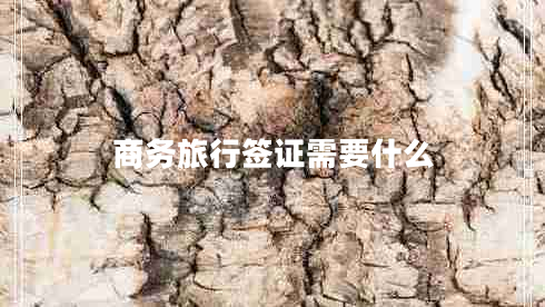 商務旅行簽證需要什么