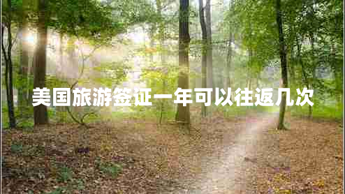 美國旅游簽證一年可以往返幾次 美國旅游簽證一年可以往返幾次
