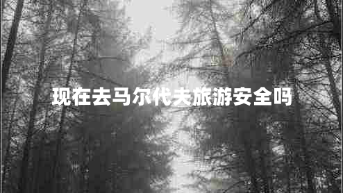 現(xiàn)在去馬爾代夫旅游安全嗎