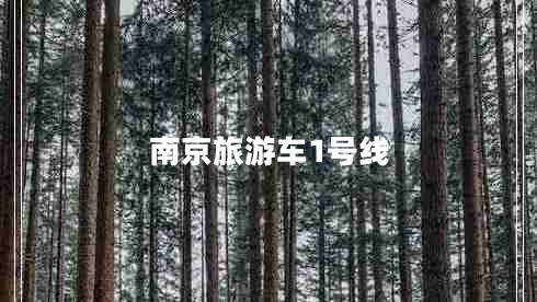 南京旅游車(chē)1號(hào)線(xiàn) 南京旅游車(chē)1號(hào)線(xiàn)