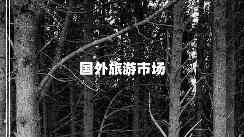 國(guó)外旅游市場(chǎng)