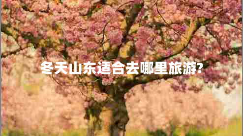 冬天山東適合去哪里旅游?