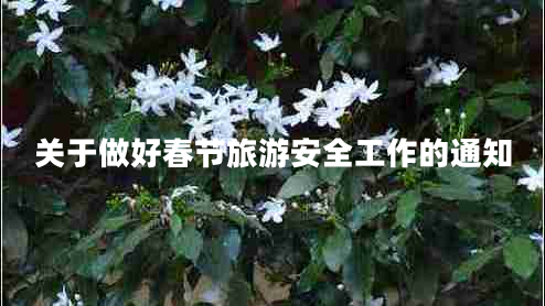 關(guān)于做好春節(jié)旅游安全工作的通知 關(guān)于做好春節(jié)旅游安全工作的通知