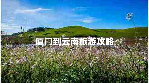 廈門到云南旅游攻略