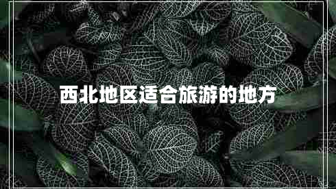 西北地區(qū)適合旅游的地方