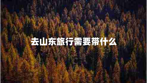 去山東旅行需要帶什么 去山東旅行需要帶什么