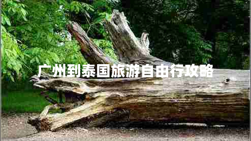 廣州到泰國旅游自由行攻略 廣州到泰國旅游自由行攻略