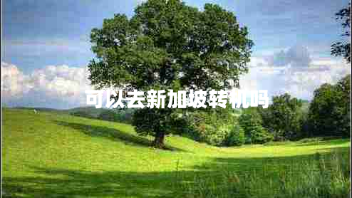 可以去新加坡轉(zhuǎn)機嗎