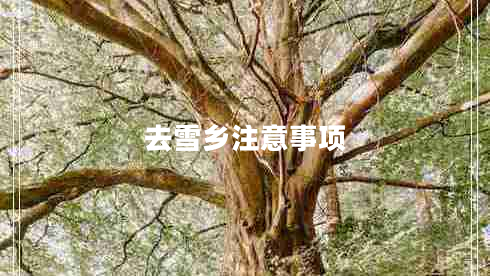 去雪鄉(xiāng)注意事項(xiàng)