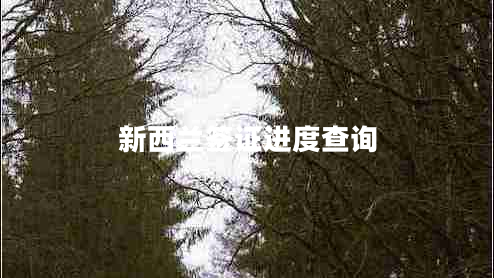 新西蘭簽證進(jìn)度查詢(xún)