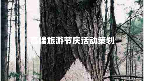 高端旅游節(jié)慶活動(dòng)策劃