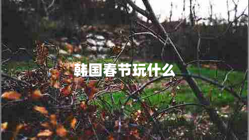 韓國(guó)春節(jié)玩什么