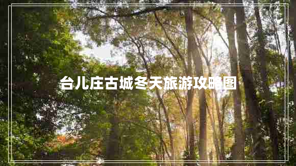 臺(tái)兒莊古城冬天旅游攻略圖