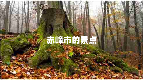 赤峰市的景點(diǎn)