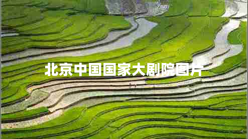 北京中國(guó)國(guó)家大劇院圖片