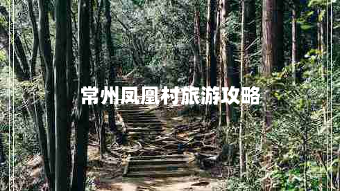 常州鳳凰村旅游攻略