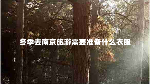 冬季去南京旅游需要準備什么衣服