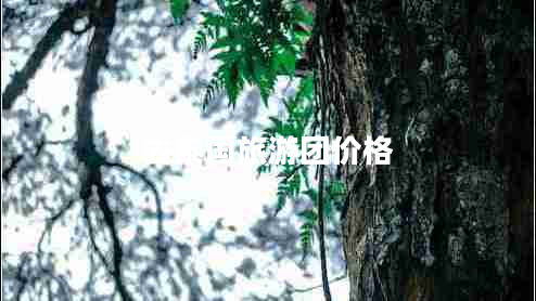 去泰國(guó)旅游團(tuán)價(jià)格 去泰國(guó)旅游團(tuán)價(jià)格