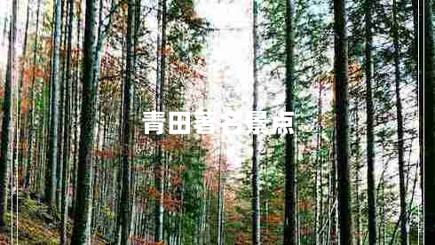 青田著名景點(diǎn)