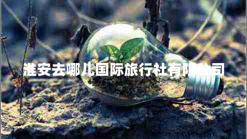 淮安去哪兒國際旅行社有限公司