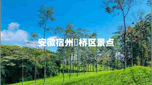 安徽宿州埇橋區(qū)景點