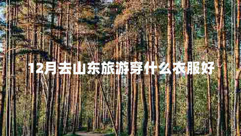 12月去山東旅游穿什么衣服好 12月去山東旅游穿什么衣服好