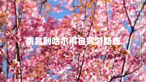 南昌到哈爾濱自駕游路線 南昌到哈爾濱自駕游路線