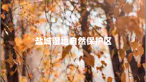 鹽城濕地自然保護區(qū)