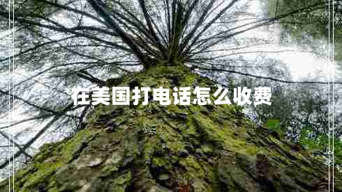 在美國打電話怎么收費 在美國打電話怎么收費