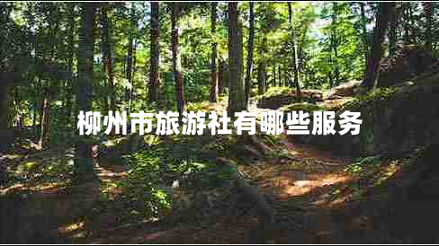 柳州市旅游社有哪些服務