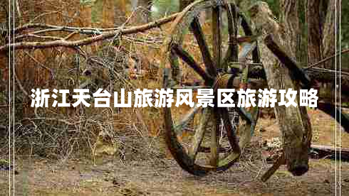 浙江天臺(tái)山旅游風(fēng)景區(qū)旅游攻略 浙江天臺(tái)山旅游風(fēng)景區(qū)旅游攻略