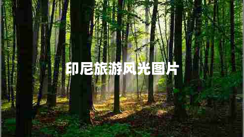 印尼旅游風(fēng)光圖片