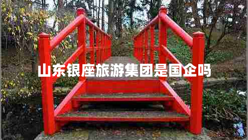 山東銀座旅游集團(tuán)是國企嗎