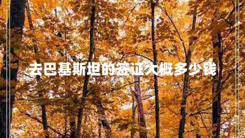 去巴基斯坦的簽證大概多少錢