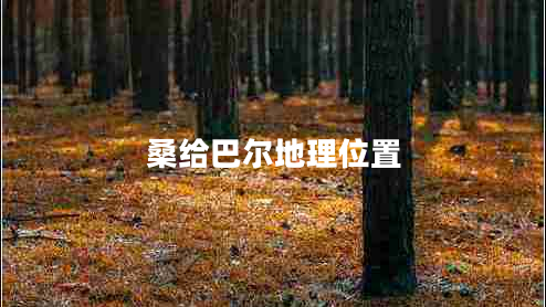 桑給巴爾地理位置 桑給巴爾地理位置