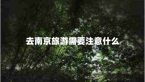 去南京旅游需要注意什么