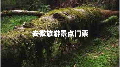 安徽旅游景點(diǎn)門(mén)票