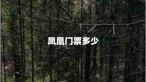 鳳凰門票多少 鳳凰門票多少