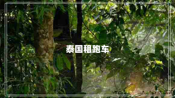 泰國(guó)租跑車