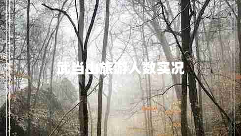 武當(dāng)山旅游人數(shù)實況 武當(dāng)山旅游人數(shù)實況