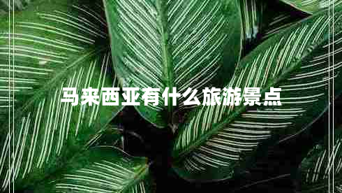 馬來西亞有什么旅游景點