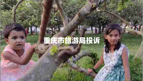 重慶市旅游局投訴 重慶市旅游局投訴