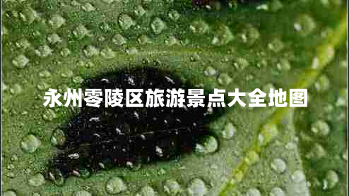 永州零陵區(qū)旅游景點(diǎn)大全地圖