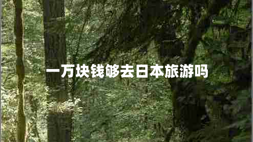 一萬塊錢夠去日本旅游嗎