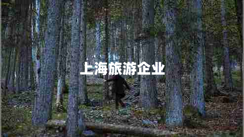 上海旅游企業(yè)