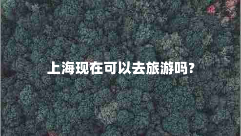 上?，F(xiàn)在可以去旅游嗎?