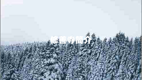 修善寺簡介 修善寺簡介